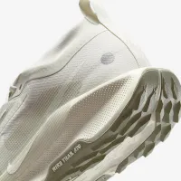 Nike Pegasus Trail 5 GORE-TEX мужские Waterproof Trail Running Кроссовки цвет серый