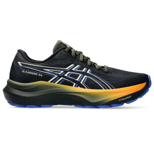 Кроссовки для бега Мужские ASICS GT-2000 14 GTX (1011C058 001)
