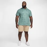 Nike Tour чоловічі Dri-FIT для гольфу Polo колір зелений