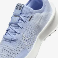 Nike Interact Run женская Road Running Кроссовки синий