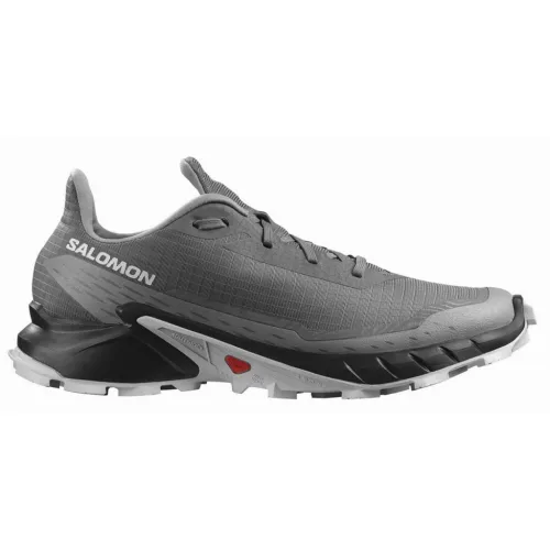 Кросівки Чоловічі SALOMON ALPHACROSS 5 (473133)