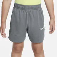 Nike Dri-FIT Elite Toddler шорты цвет серый