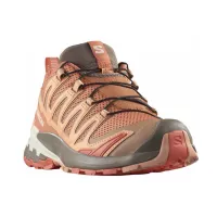 Кросівки для бігу Жіночі Salomon XA PRO 3D V9 (474682)