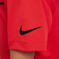 Nike Dri-FIT Little детские Trophy футболка цвет красный