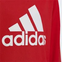Кофта/футболка adidas Essentials HN1911 - Красная