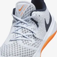 Nike Zoom Hyperspeed Court SE волейбольные Кроссовки многоцветный