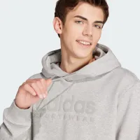 Кофта/футболка adidas Sportswear All Szn Fleece Graphic Толстовка с капюшоном IW1205 - Серая