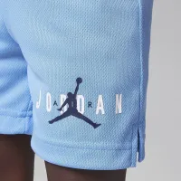Nike Jordan Essentials Toddler Graphic Mesh шорти блакитний