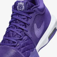 Nike LeBron Witness 8 баскетбольные Кроссовки цвет фиолетовый