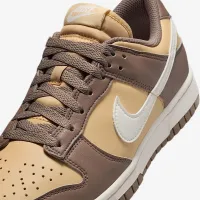 Nike Dunk Low Next Nature женская Кроссовки цвет коричневый