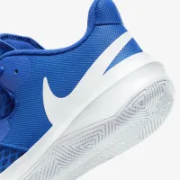 Nike HyperSpeed Court волейбольные Кроссовки синий
