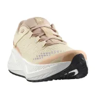 Кроссовки для бега Женские Salomon AERO GLIDE 3 GRVL (478125)