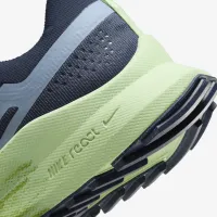 Nike Pegasus Trail 4 жіноча Trail Running взуття Blue