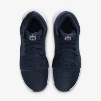 Nike LeBron Witness 8 баскетбольні Кросівки блакитний