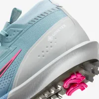 Nike Infinity Tour 2 GORE-TEX чоловічі Waterproof для гольфу Кросівки (Extra Wide) блакитний