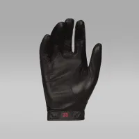 Nike Jordan Tour Regular для гольфу Glove (Right) колір чорний