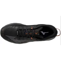 Кроссовки для бега w terenie Mizuno WAVE DAICHI 7 GTX (J1GJ225638)