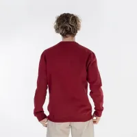 Кофта/футболка Champion Crewneck 219204-RS508 - бордова
