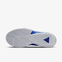 Nike Giannis Freak 5 баскетбольные Кроссовки синий