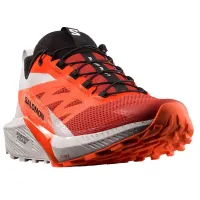 Кросівки для бігу Чоловічі Salomon SENSE RIDE 5 (470462)