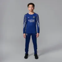 Nike Paris Saint-Germain 2024/25 Stadium Fourth Big дитячі Jordan Dri-FIT Soccer Replica Long-Sleeve Jersey блакитний
