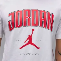 Nike Jordan чоловічі футболка колір білий