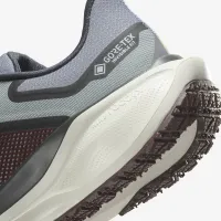 Nike Pegasus 41 GORE-TEX чоловічі Waterproof Road Running Кросівки колір сірий
