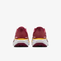 USC Pegasus 41 мужские Nike College Road Running Кроссовки цвет красный