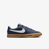 Nike Court Legacy Big дитячі Кросівки блакитний