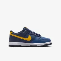 Nike Dunk Low Big дитячі Кросівки блакитний