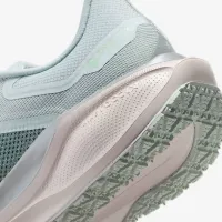 Nike Pegasus 41 GORE-TEX мужские Waterproof Road Running Кроссовки цвет серый