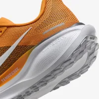 Tennessee Pegasus 41 мужские Nike College Road Running Кроссовки Orange