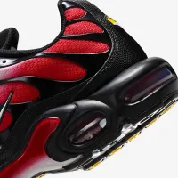 Nike Air Max Plus мужские Кроссовки цвет серый