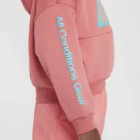 Nike ACG Icon Fleece Big детские Pullover Толстовка с капюшоном цвет красный