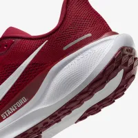 Stanford Pegasus 41 мужские Nike College Road Running Кроссовки цвет красный