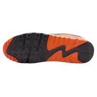 Кросівки Чоловічі NIKE AIR MAX 90 (DM0029 108)