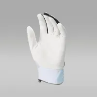 Nike Jordan Fly Elite Batting Gloves (1 пара) колір білий