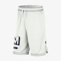 Michigan DNA 3.0 чоловічі Nike Dri-FIT College шорти колір білий