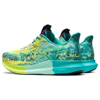Кроссовки для бега ASICS NOOSA TRI 14 (1012B208 750)