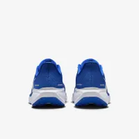 Kentucky Pegasus 41 мужские Nike College Road Running Кроссовки синий
