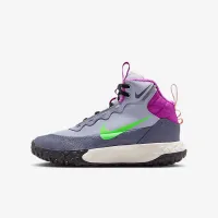 Nike Terrascout Big детские Boots цвет серый