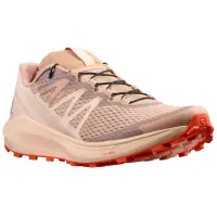 Кросівки для бігу Salomon SENSE RIDE 4 (414503)