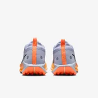 Nike Pegasus Trail 5 GORE-TEX мужские Waterproof Trail Running Кроссовки цвет серый