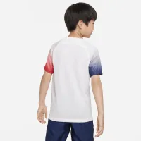 Paris Saint-Germain Academy Pro Away Big детские Nike Dri-FIT Pre-Match Soccer Top цвет белый