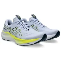 Кросівки для бігу Чоловічі ASICS GT-2000 14 (1011C056 400)
