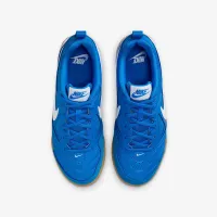 Nike Gato Big детские Кроссовки синий