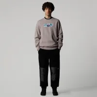 Кофта/футболка The North Face Expedition System 0A89DD1OA1 - Серая