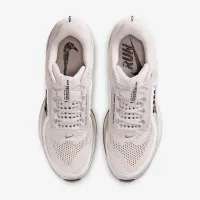 Nike Pegasus Premium мужские Road Running Кроссовки цвет серый