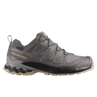 Кросівки для бігу Salomon XA PRO 3D V9 GTX Gore-Tex (477445)