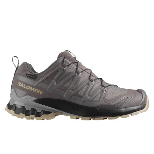 Кроссовки для бега Salomon XA PRO 3D V9 GTX Gore-Tex (477445)